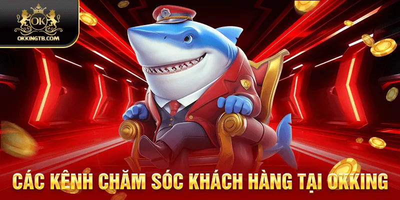 chăm sóc khách hàng tại okking