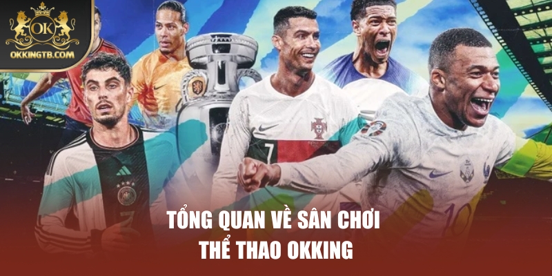 Tổng quan về sân chơi thể thao OKKING